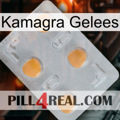 Kamagra Jellies 24